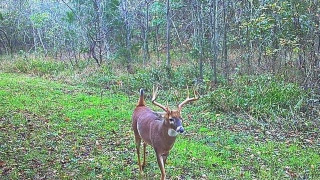 6745 E CC Highway, Stockton, MO 65785