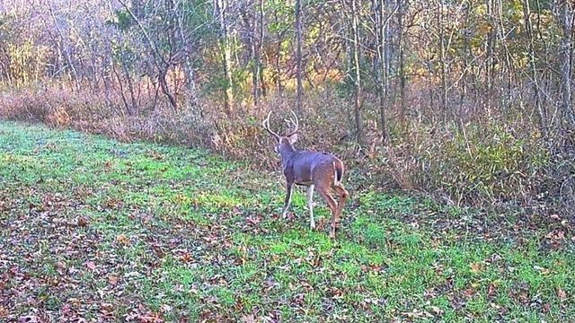 6745 E CC Highway, Stockton, MO 65785