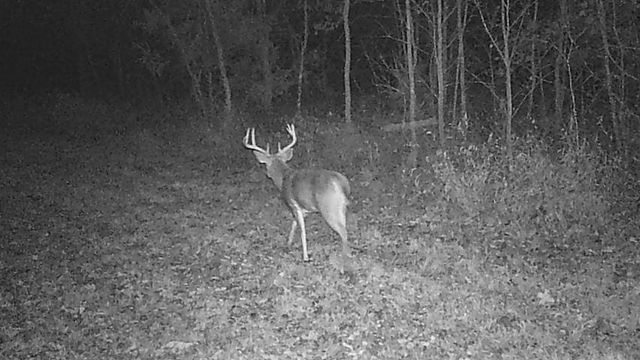 6745 E CC Highway, Stockton, MO 65785