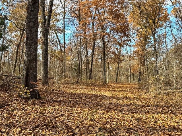 6745 E CC Highway, Stockton, MO 65785