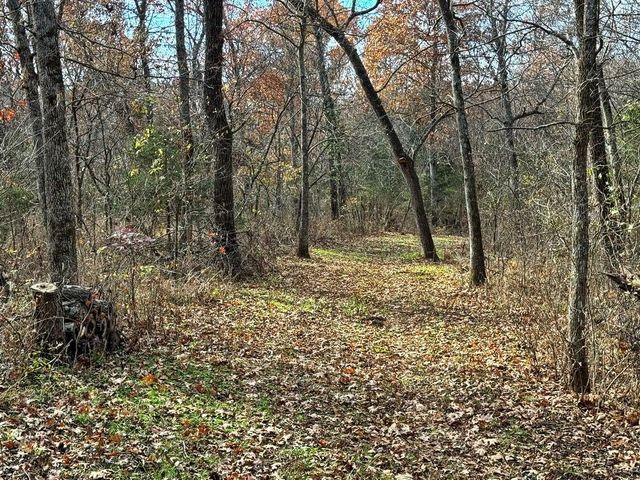 6745 E CC Highway, Stockton, MO 65785