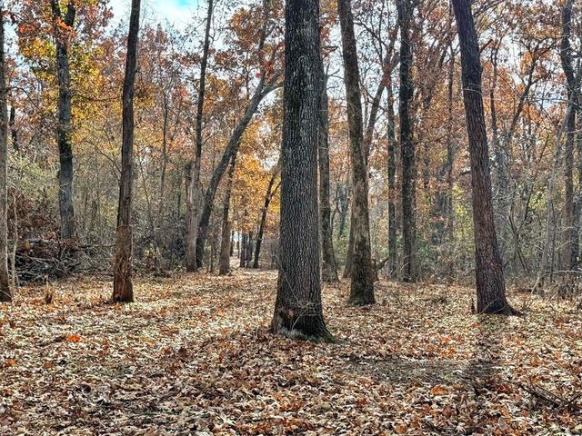 6745 E CC Highway, Stockton, MO 65785