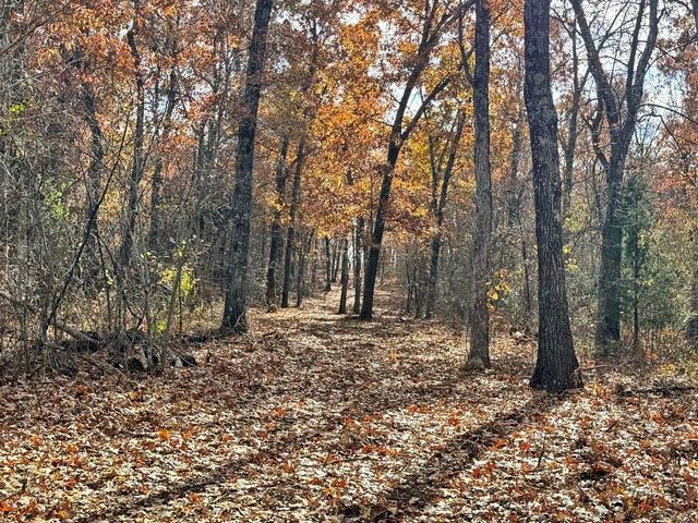 6745 E CC Highway, Stockton, MO 65785