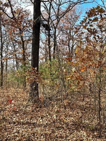 6745 E CC Highway, Stockton, MO 65785