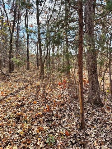 6745 E CC Highway, Stockton, MO 65785