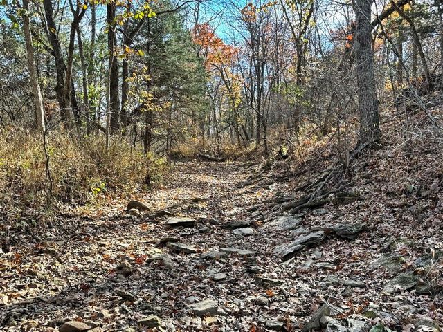 6745 E CC Highway, Stockton, MO 65785