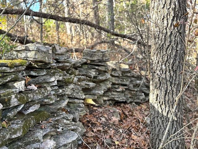 6745 E CC Highway, Stockton, MO 65785