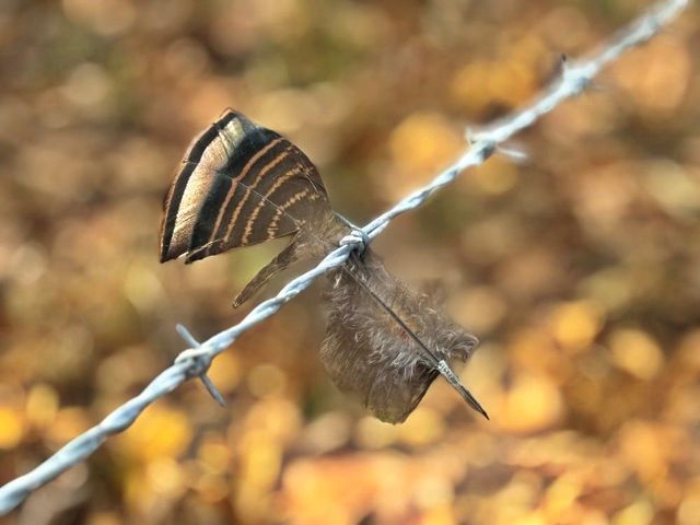 6745 E CC Highway, Stockton, MO 65785