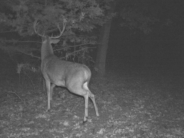 6745 E CC Highway, Stockton, MO 65785