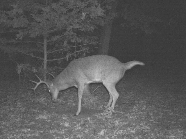 6745 E CC Highway, Stockton, MO 65785