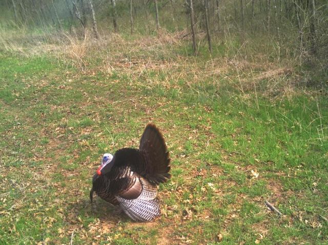 6745 E CC Highway, Stockton, MO 65785