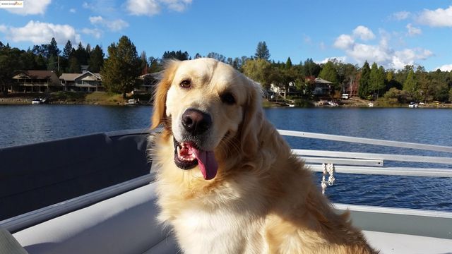 19400 Reid Circle, Groveland, CA 95321