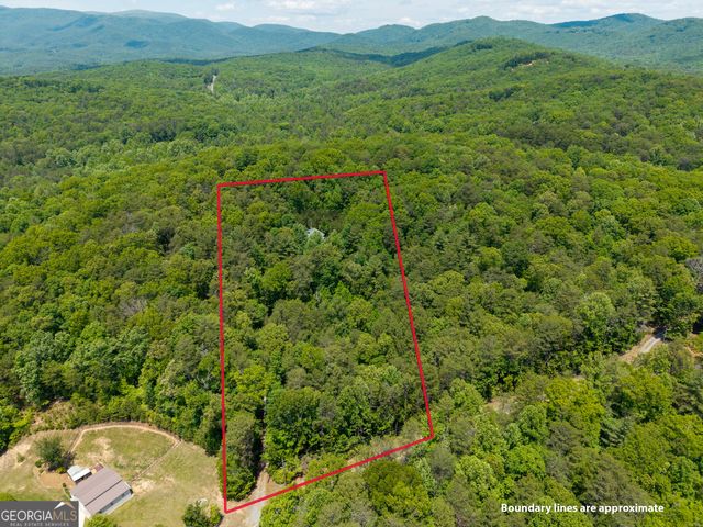 9121 Roy Road, Ellijay, GA 30536