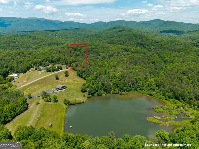 9121 Roy Road, Ellijay, GA 30536