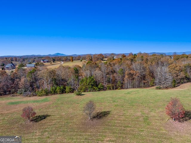 495 Annandale Drive, Clarkesville, GA 30523