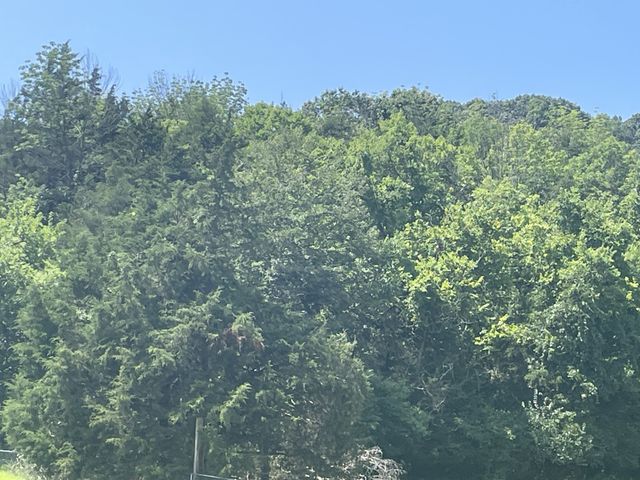 0 Ingram Rd, Whites Creek, TN 37189