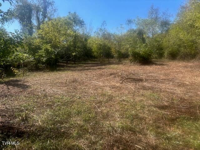 Tbd Mayfield Drive, Johnson City, TN 37604