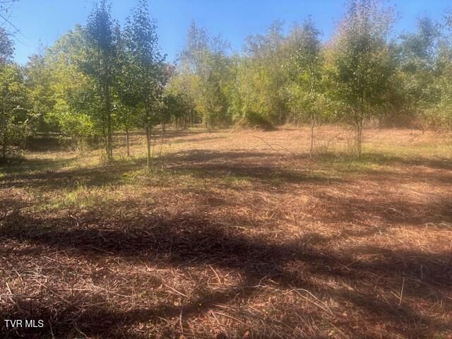 Tbd Mayfield Drive, Johnson City, TN 37604