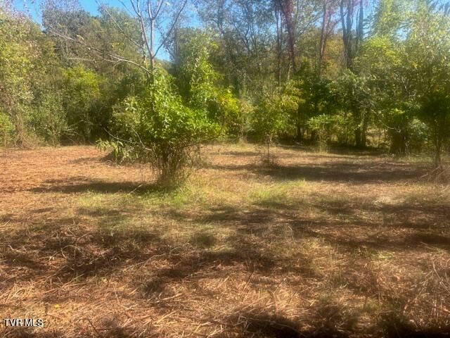 Tbd Mayfield Drive, Johnson City, TN 37604