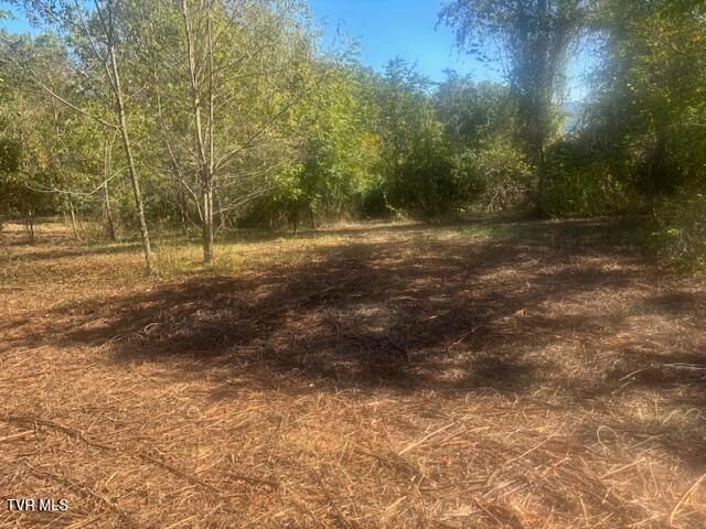 Tbd Mayfield Drive, Johnson City, TN 37604