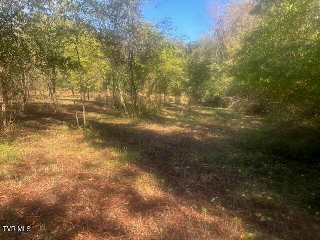 Tbd Mayfield Drive, Johnson City, TN 37604