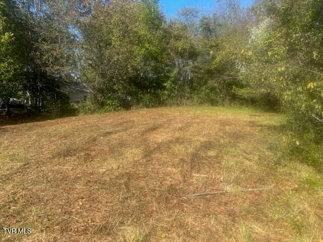 Tbd Mayfield Drive, Johnson City, TN 37604