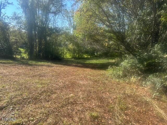 Tbd Mayfield Drive, Johnson City, TN 37604