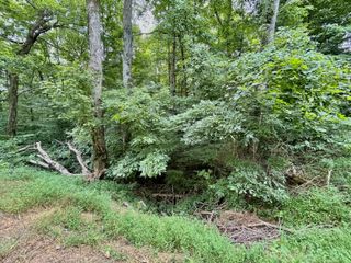 2341 Old Zula Road, Monticello, KY 42633