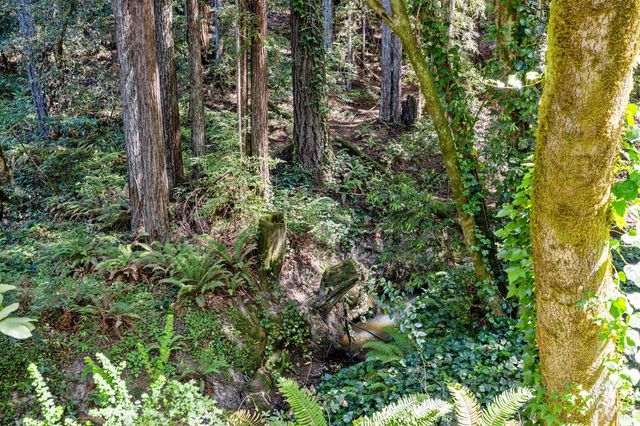 9935 Occidental Rd, Sebastopol, CA 95472