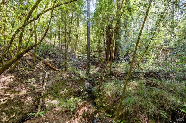 9935 Occidental Rd, Sebastopol, CA 95472