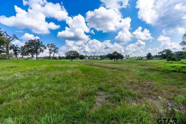 4149 An County Rd 2202, Palestine, TX 75803