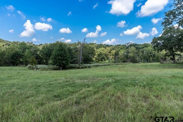 4149 An County Rd 2202, Palestine, TX 75803
