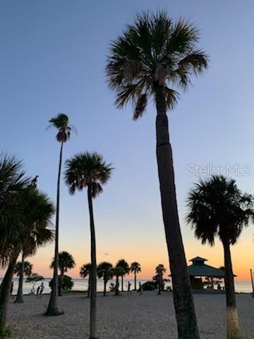 39820 US HIGHWAY 19 N 182, Tarpon Springs, FL 34689