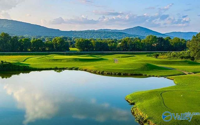 2316 Little Cove Road, Owens Cross Roads, AL 35763