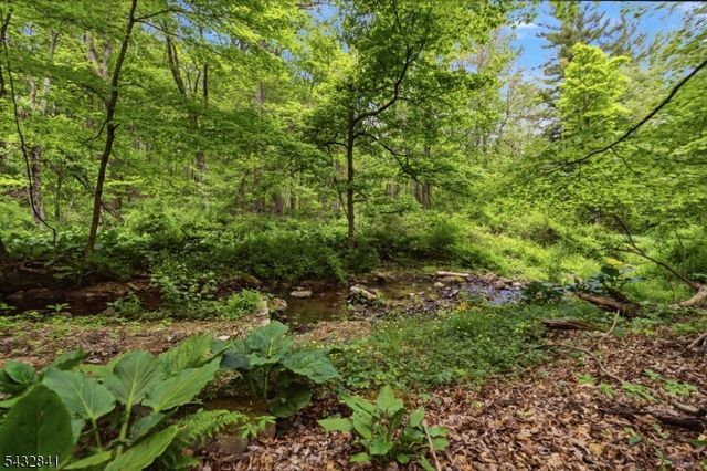 20 Wood Rd, Morris Twp., NJ 07960