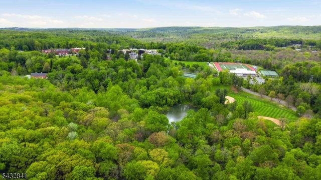 20 Wood Rd, Morris Twp., NJ 07960