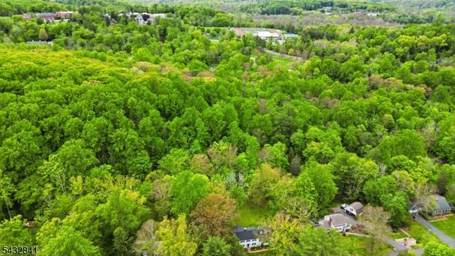 20 Wood Rd, Morris Twp., NJ 07960