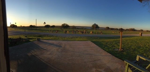 300 N Shore, Brady, TX 76825