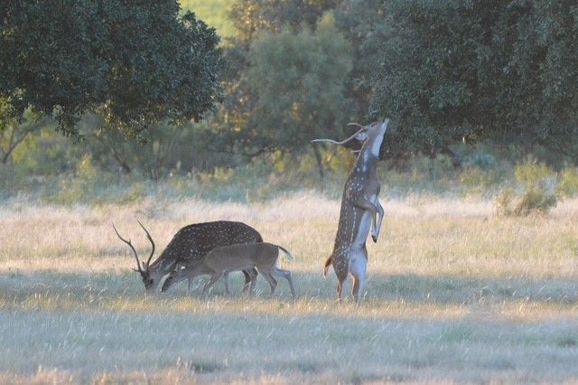 300 N Shore, Brady, TX 76825