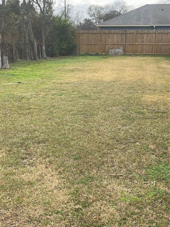 4205 Gunter Street, Houston, TX 77020