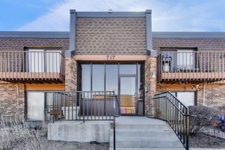 717 Killarney Court 2D, Schaumburg, IL 60193