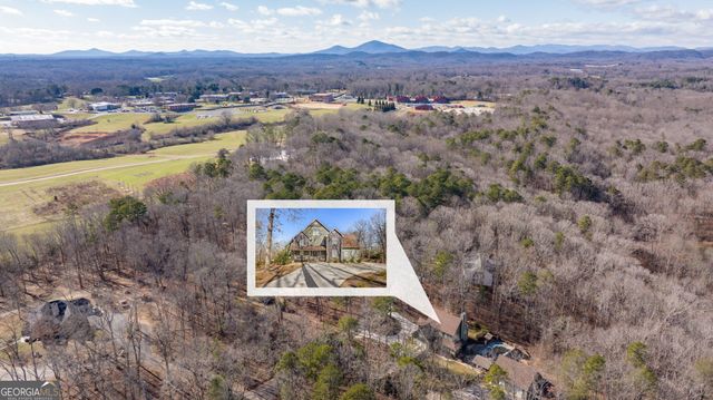 775 Riverwilde Road, Clarkesville, GA 30523