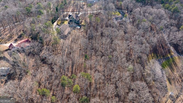 775 Riverwilde Road, Clarkesville, GA 30523