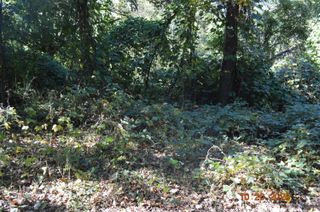 3705 Cross Street, Chattanooga, TN 37411