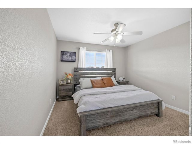 7815 Dry Willow Way, Colorado Springs, CO 80908
