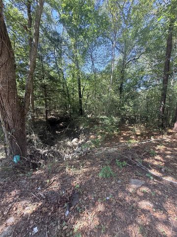 TBD Tejas Drive, Huntsville, TX 77320