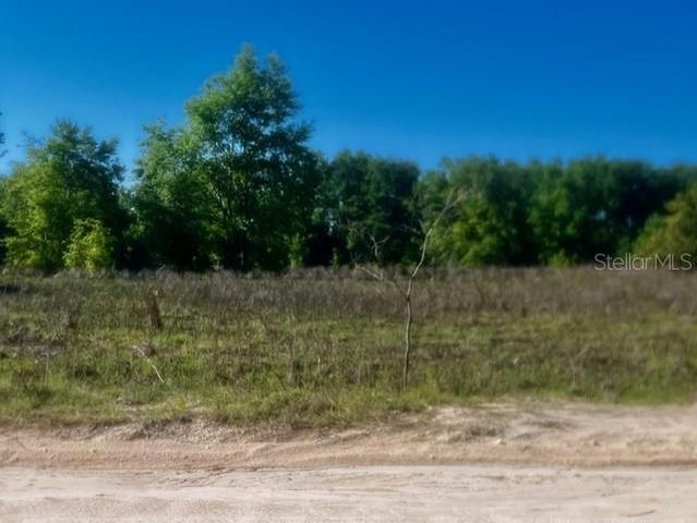 NW 98TH LANE, Branford, FL 32008