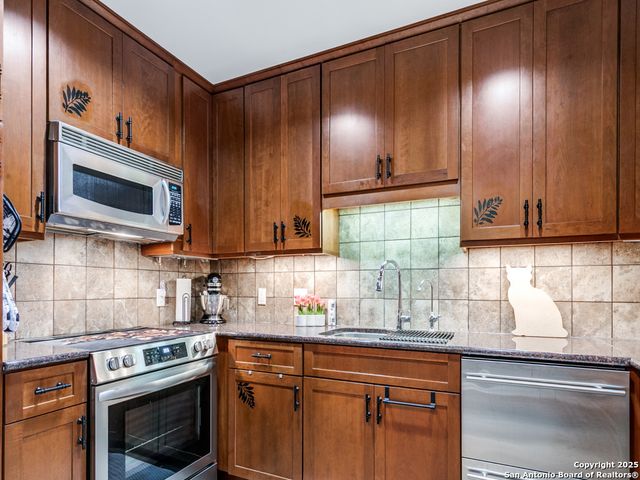 1 Towers Park Ln Apt 316, San Antonio, TX 78209