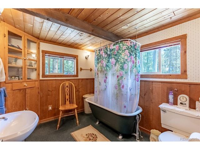 16530 Mt Princeton Rd, Buena Vista, CO 81211