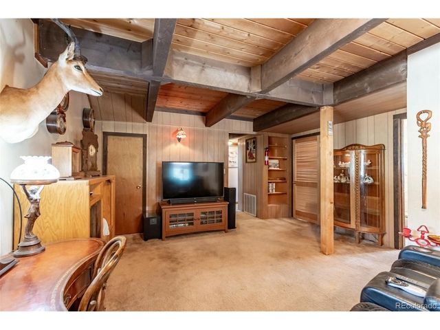 16530 Mt Princeton Rd, Buena Vista, CO 81211